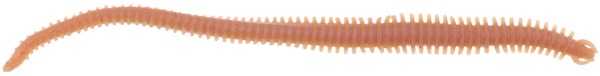 Berkley Gulp Alive Nereis Sahte Kurt - NATURAL - 15CM - 14LÜ