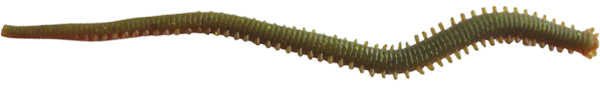 Berkley Gulp Alive Nereis Sahte Kurt - CAMO - 15CM - 14LÜ