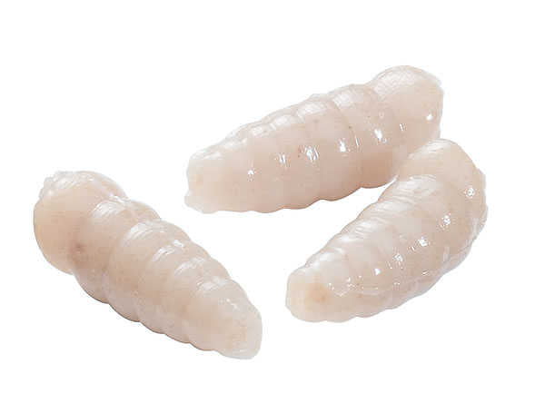 Berkley Powerbait Maggot Sahte Kurt - WHITE