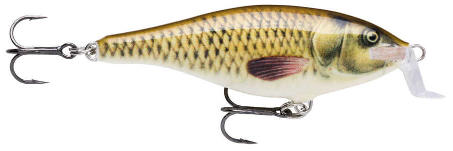 Rapala Shallow Shad Rap Sahte Balığı - CARP - 90MM