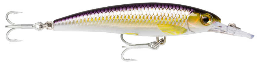 Rapala X-Rap 3x Minnow Sahte Balığı - PBH - 100MM