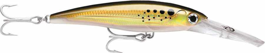 Rapala X-Rap Magnum Sahte Balığı - BNK - 120MM