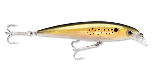 Rapala X-Rap Saltwater Sahte Balığı - BNK - 120MM