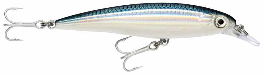 Rapala X-Rap Saltwater Sahte Balığı - BFH - 120MM