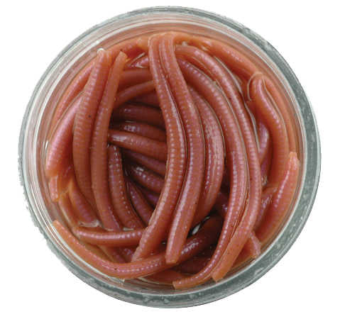Berkley Gulp Alive Angle Worm Sahte Kurt