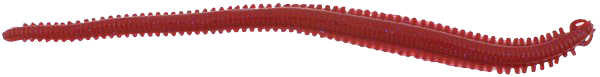 Berkley Gulp Alive Nereis Sahte Kurt - BLOODY - 15CM - 14LÜ
