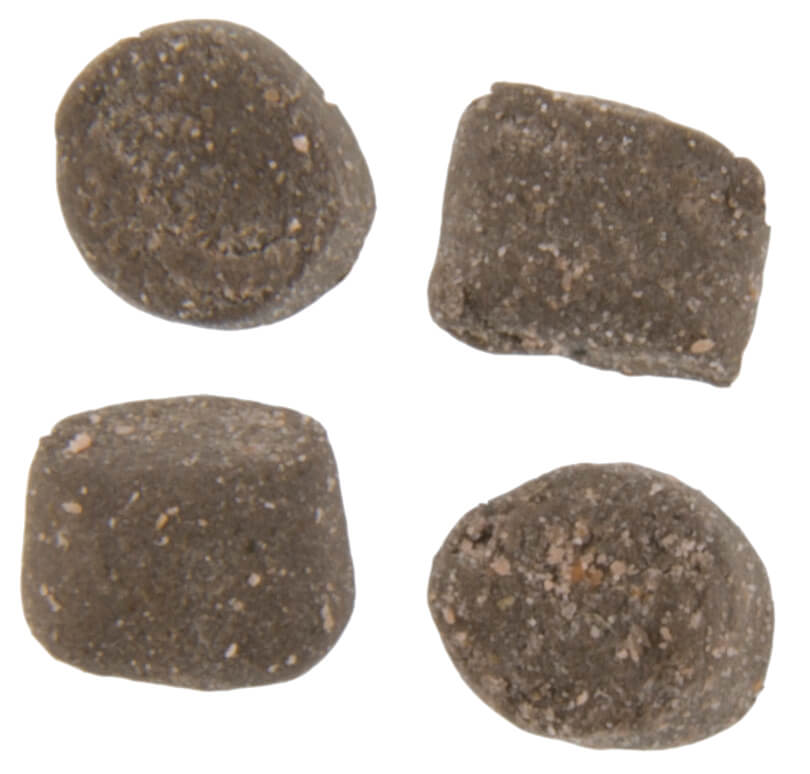 Berkley Powerbait Trout Nouggets Sahte Yemi - CHSEESE - 57GR