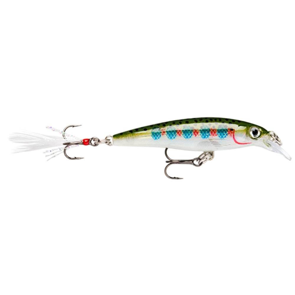Rapala Freshwater X-Rap Sert Balık - RT - 100MM