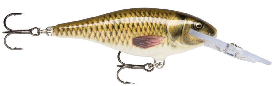Rapala Shad Rap Sahte Balığı - CARP - 90MM