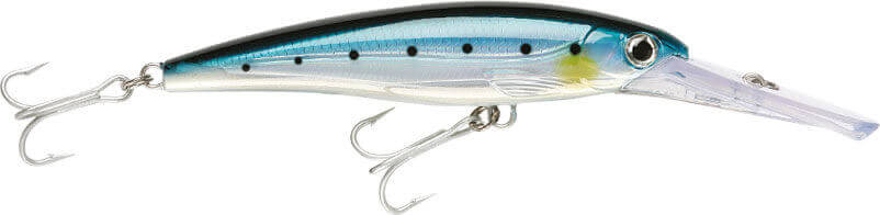 Rapala X-Rap Magnum Sahte Balığı - BSRD - 140MM