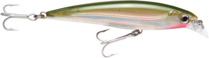 Rapala X-Rap Saltwater Sahte Balığı - OG - 100MM