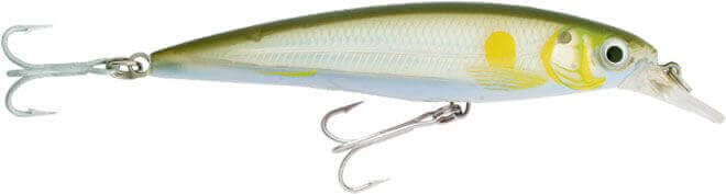 Rapala X-Rap Saltwater Sahte Balığı - AYU - 140MM