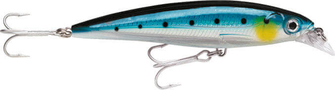 Rapala X-Rap Saltwater Sahte Balığı - BSRD - 100MM