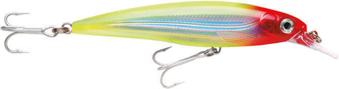 Rapala X-Rap Saltwater Sahte Balığı - CLN - 140MM